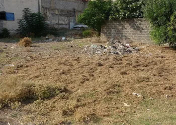 Tarlada 3-4 günlük bir bebek bulundu
