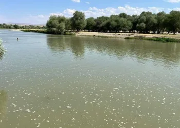 Çocuğunu kurtarırken canından oldu