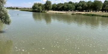 Çocuğunu kurtarırken canından oldu