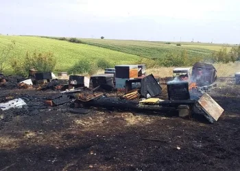 Kırklareli’nde 71 arı kovanı alev alev yandı