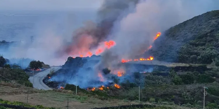 İtalya’nın Pantelleria Adası’nda orman yangını