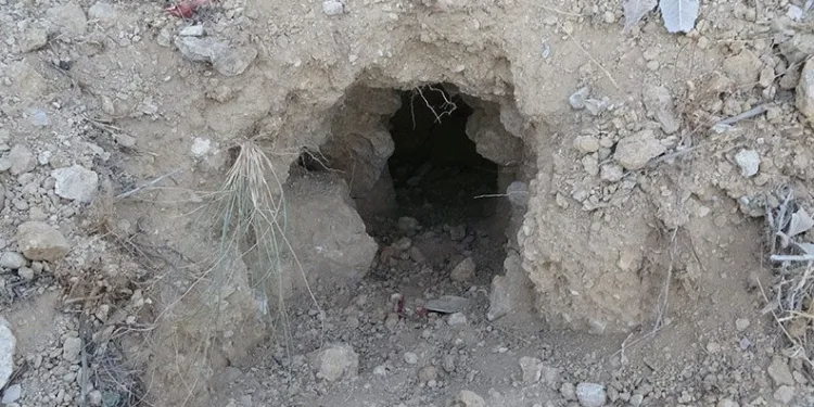Binlerce yıllık höyük savaş alanına döndü