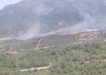 İzmir’deki orman yangını kontrol altında