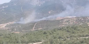 İzmir’deki orman yangını kontrol altında
