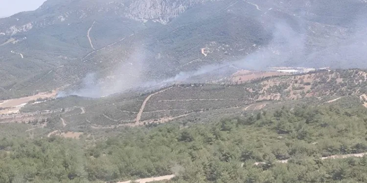 İzmir’deki orman yangını kontrol altında