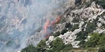 Marmaris’te makilik alanda yangın çıktı