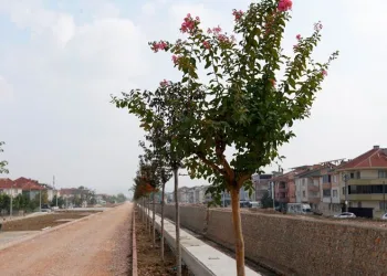 Kanal İnegöl yeşilleniyor