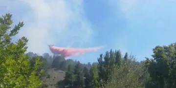 Antalya’daki orman yangını kısmen kontrol altında