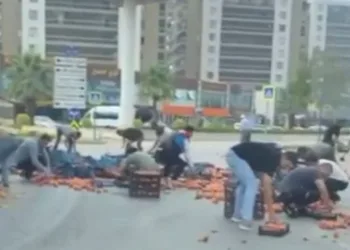 Bursa’da dökülen şeftaliler için herkes seferber oldu
