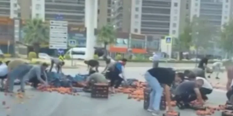 Bursa’da dökülen şeftaliler için herkes seferber oldu