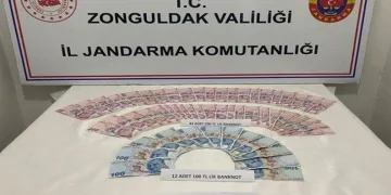 Zonguldak’ta yaşlı kadının birikimlerini çalan hırsızlar yakalandı