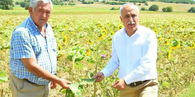 Çiftçiye sıfır faizli kredi üreticilere nefes aldıracak