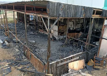 İstanbul’da yanan halı saha deposundan ceset çıktı