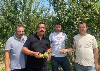 Bursa’da sağanak tarım ürünlerinde 30 milyon lira zarara yol açtı