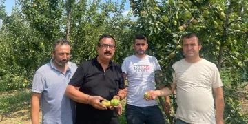 Bursa’da sağanak tarım ürünlerinde 30 milyon lira zarara yol açtı