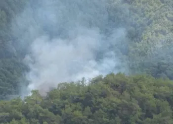 Kazdağları’nda orman yangını