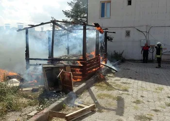 Tokat’ta çocukların ateşle oyunu yangın çıkardı