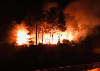 Sinop’ta çıkan orman yangını korkuttu