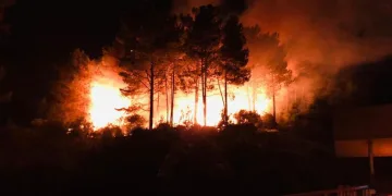 Sinop’ta çıkan orman yangını korkuttu