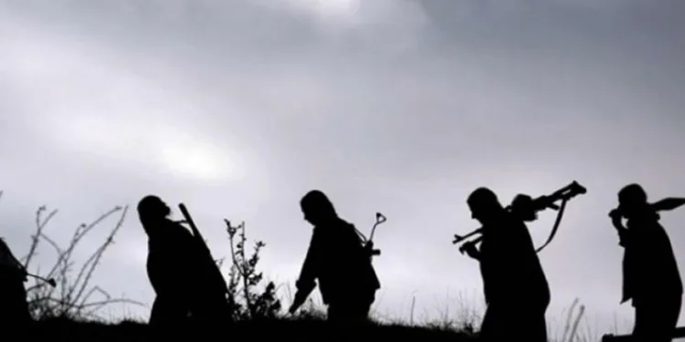 PKK’nın hain planı deşifre oldu