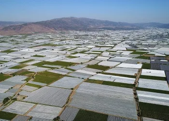 Manisa Sarıgöl Ovası beyaza büründü