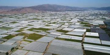 Manisa Sarıgöl Ovası beyaza büründü
