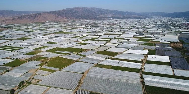 Manisa Sarıgöl Ovası beyaza büründü