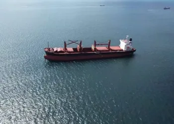 İkinci tahıl gemisi İstanbul açıklarına ulaştı