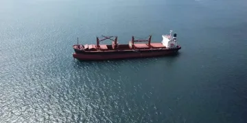 İkinci tahıl gemisi İstanbul açıklarına ulaştı