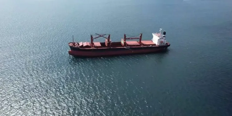 İkinci tahıl gemisi İstanbul açıklarına ulaştı