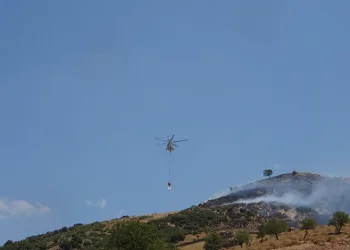 Çanakkale’de orman yangını