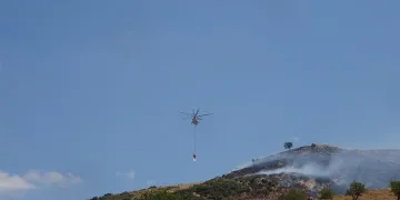 Çanakkale’de orman yangını