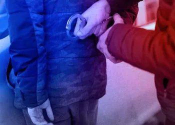 Bursa’da operasyon! Birçok noktaya kenevir ekmişler