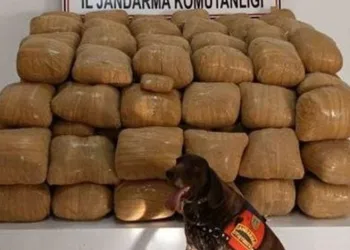 Van’da 700 kiloyu aşkın uyuşturucu ele geçirildi