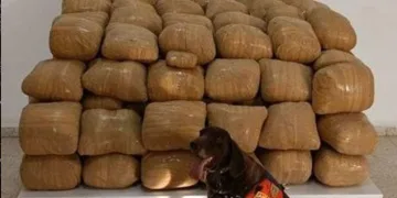 Van’da 700 kiloyu aşkın uyuşturucu ele geçirildi