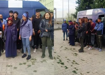 Kırklareli’nde 226 kaçak göçmen yakalandı