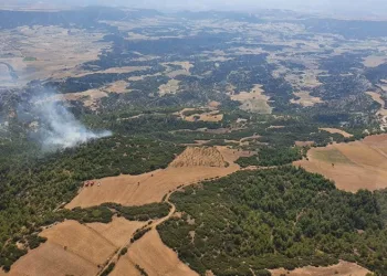 Manisa’daki orman yangını kontrol altında
