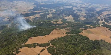 Manisa’daki orman yangını kontrol altında