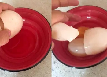 Yumurtanın içinden yumurta çıktı