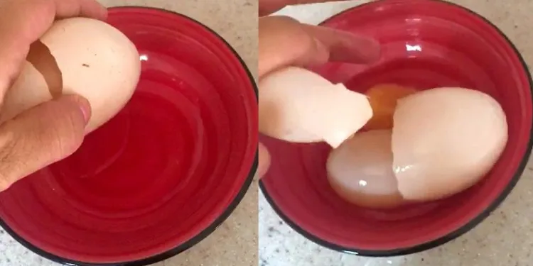 Yumurtanın içinden yumurta çıktı