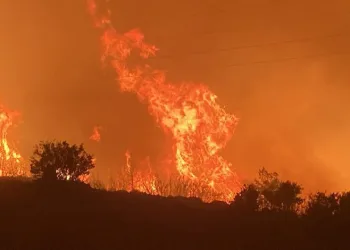 Mersin alevlerle boğuşuyor! Yangın 2’nci gününde
