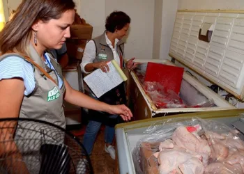 Bursa’da depo baskını! 1,5 ton et imha edildi