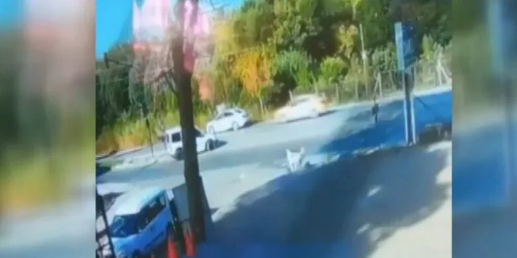 Hatalı dönüş yapan araca motosiklet çarptı