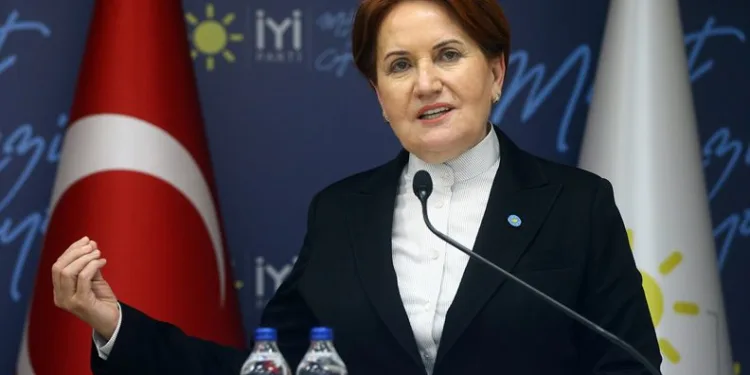 HDP’ye bakanlık açıklamasına Akşener’den cevap