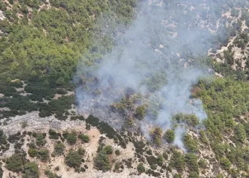 Manisa Kula’da orman yangını