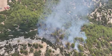 Manisa Kula’da orman yangını
