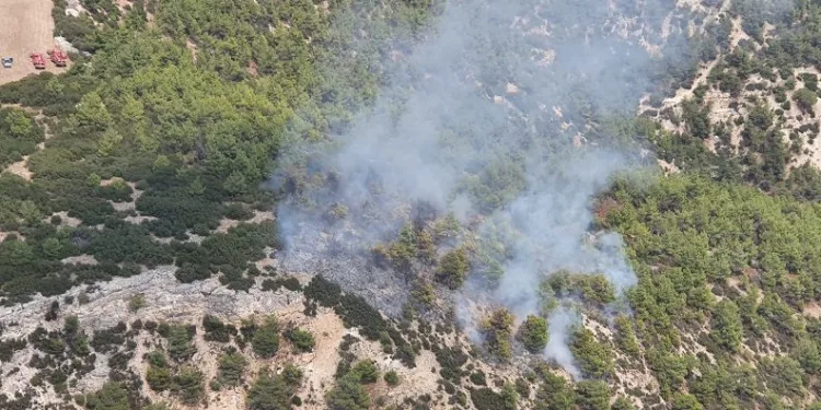 Manisa Kula’da orman yangını