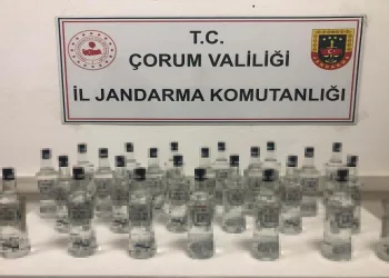 Kargo ile kaçak içki taşırken yakalandı