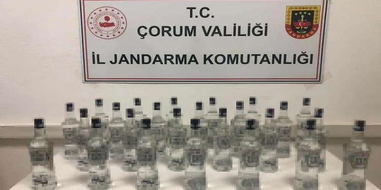 Kargo ile kaçak içki taşırken yakalandı