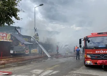 Amasra’da 2 kafe, 3 büfe küle döndü
